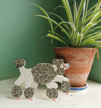 The Poodle