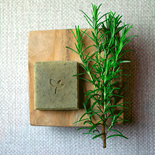 Persephone - Handmade Nettle & Rosemary Soap