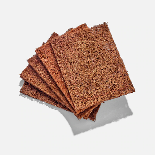 Biodegradable Coconut Kitchen Scourers-5 Pack - Plastic Free